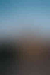 Summer Engagement Photos at Tenney Park