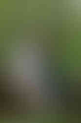 Summer Engagement Photos at Devil's Lake