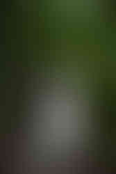 devils lake hiking elopement