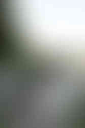 devils lake elopement