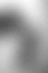 wisconsin capitol elopement