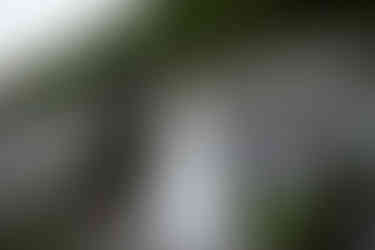 hiking elopement devils lake