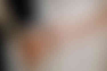 Wisconsin Capitol Elopement