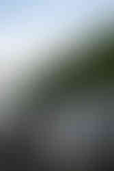 hiking elopement devils lake