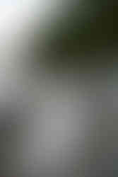 bride and groom on tumbled rocks trail devils lake