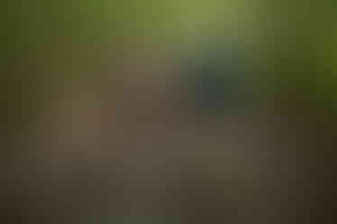 devils lake hiking elopement east bluff trail