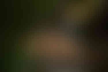 devils lake hiking elopement east bluff trail