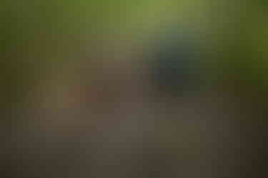 devils lake hiking elopement