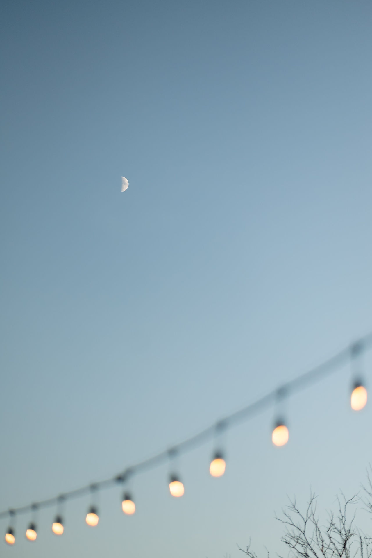 Madison Wisconsin Wedding Photographer