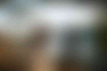 devils lake hiking elopement east bluff trail