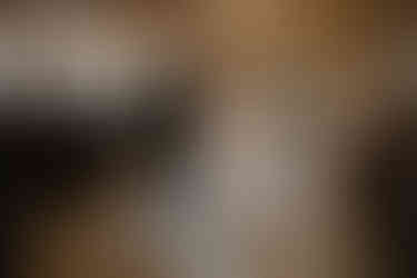 Pavilion at Orchard Ridge Wedding