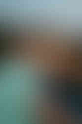 Summer Engagement Photos at Tenney Park