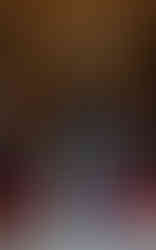 wisconsin capitol senate parlor wedding