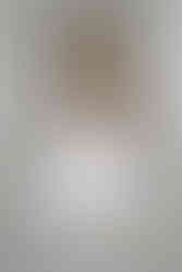 wisconsin capitol elopement