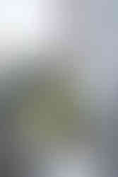 wedding bouquet devils lake