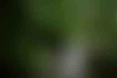 devils lake hiking elopement