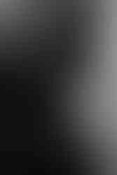 wisconsin capitol elopement