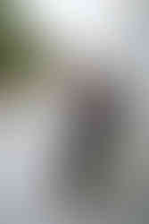 wisconsin capitol elopement