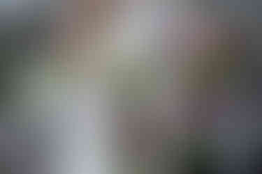 wedding bouquet devils lake