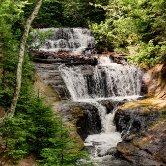 What to do during your all-day elopement elopement day activity ideas wisconsin elopement day activity ideas