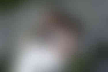 bride and groom on tumbled rocks trail devils lake