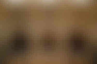 wisconsin capitol elopement