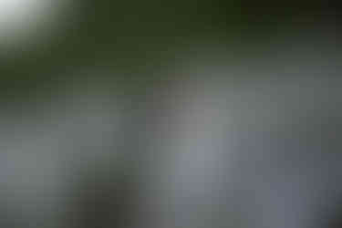 bride and groom on tumbled rocks trail devils lake