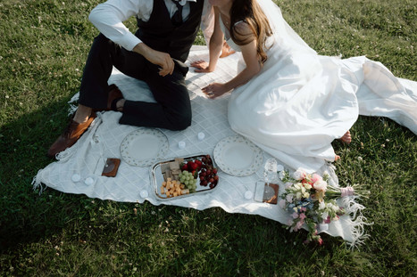 devils lake elopement picnic