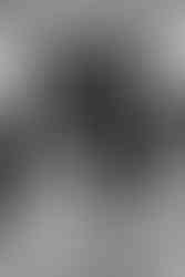 Wisconsin Capitol Elopement