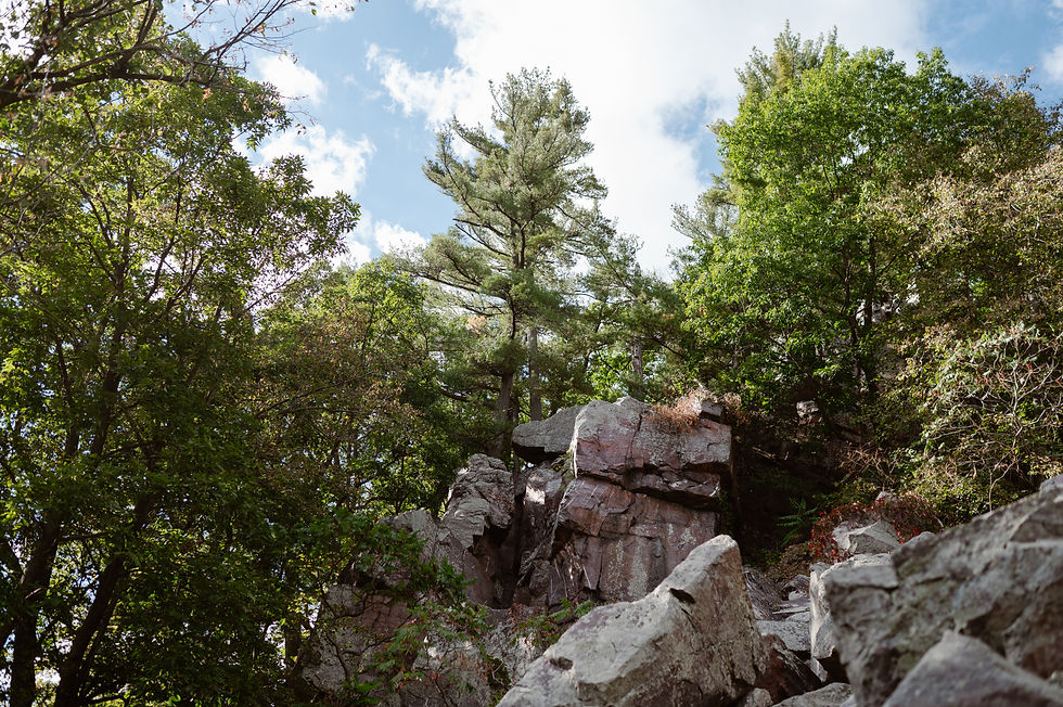 how to get married at devil's lake