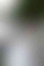 bride and groom on tumbled rocks trail devils lake