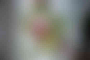 wedding bouquet devils lake