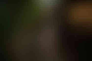 devils lake hiking elopement east bluff trail