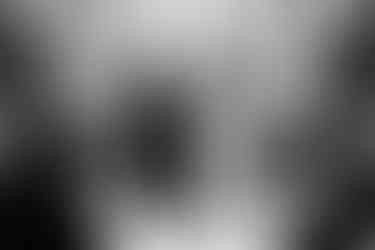 Wisconsin Capitol Elopement ceremony