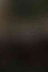 groomsmen The Madison Club Wedding