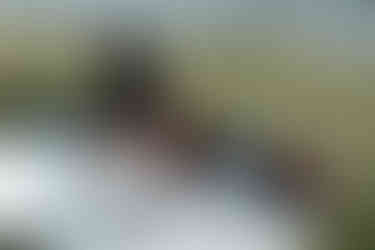 devils lake elopement picnic