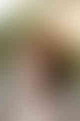 bride and groom at devils lake east bluff trail at sunset