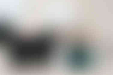 Madison Museum of Contemporary Art Wedding