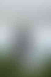 devils lake hiking elopement