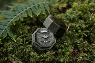 Wisconsin Elopement Photographer