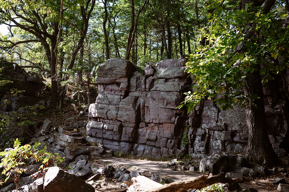 how to get married at devil's lake