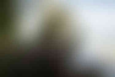 Cave Point County Park Elopement