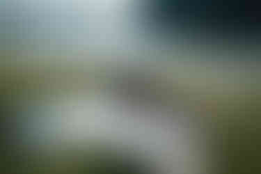 devils lake elopement picnic