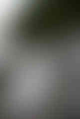 bride and groom on tumbled rocks trail devils lake