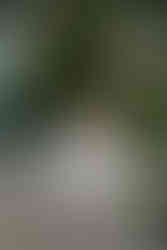 wisconsin capitol elopement