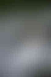 bride and groom on tumbled rocks trail devils lake