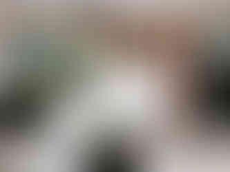 Pavilion at Orchard Ridge Wedding