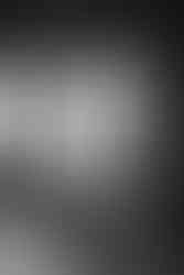 wedding dress at the saddlery