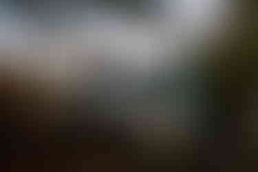 bride and groom at devils lake east bluff trail at sunset