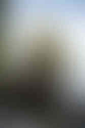 Cave Point County Park Elopement